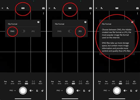 lightroom camera app.